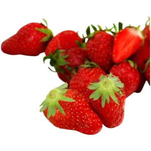 Fraises Gariguette Bio