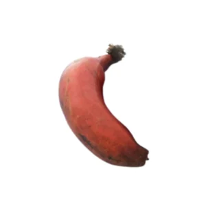 Bananes rose vrac