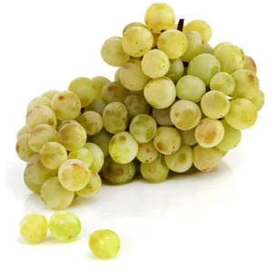 Raisin blanc sans pépin Bio