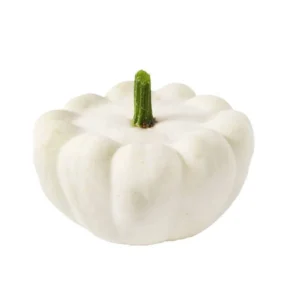 Courge Patisson BIO