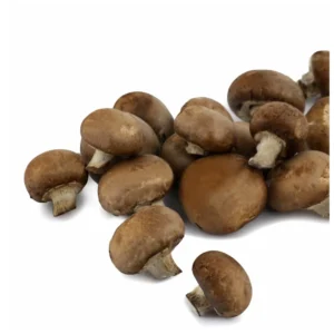 Champignon brun Bio